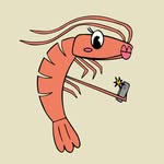 metdegurnels profile picture