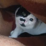 metinnmanaflii profile picture