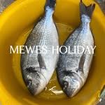 mewesholiday profile picture