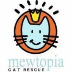 mewtopiacatrescue profile picture