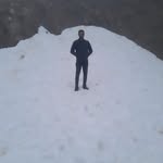 meysam_sh_74 profile picture