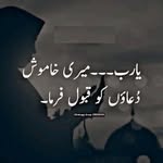 mfarhan.mfarhan.31392 profile picture