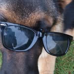 mgkhansen_ profile picture