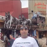 mhakimmhashim profile picture