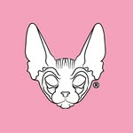 mi.guemo profile picture