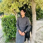 mianmudassar744 profile picture
