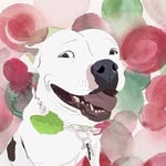 mia_the_meatball1413 profile picture