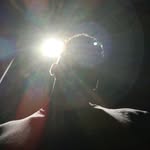 micdropin profile picture