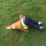 michaela.sirotkova profile picture
