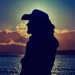 michaelmuller7 profile picture