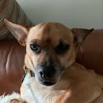 michaelreynoldsnyc profile picture