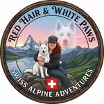 michelphotographych profile picture