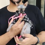 michelpierre_ profile picture