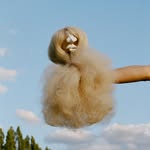 michi.studios profile picture