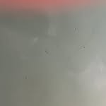 microcritique profile picture
