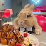 miffymikka profile picture