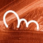 migaswimwear profile picture
