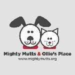 mightymutts profile picture