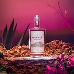 mijentatequila profile picture