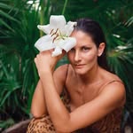 mijerez profile picture