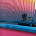 mikegrapes profile picture