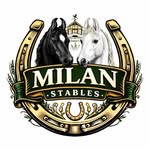 milan_stables profile picture