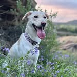 milbysjourney profile picture