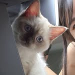 milin_0507 profile picture