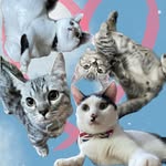 milk_and_tt profile picture