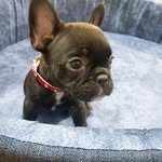 milliecheeky profile picture