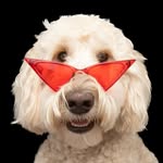 millierobeck_ profile picture