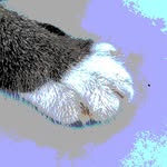 milly_l05 profile picture