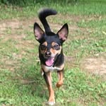 milotakesfl profile picture