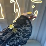 mimi330388 profile picture