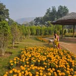 min.akshi6585 profile picture