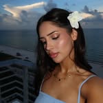 minaamouse016 profile picture