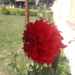 minakshi.dutta.9469 profile picture