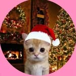 ming__ni profile picture