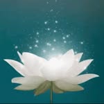 minhaespiritualidade profile picture