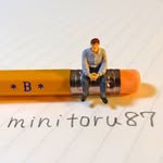 minitoru87.2 profile picture