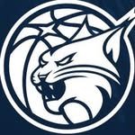 minnesotalynx profile picture