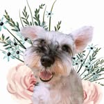 minnieeeepie_ profile picture
