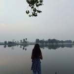 minnli_hojai profile picture