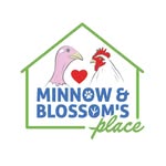 minnowandblossomsplace profile picture