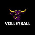 minnstvball profile picture