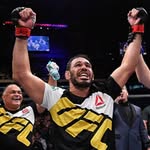 minotouromma profile picture