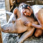 minovalleyfarmsanctuary profile picture