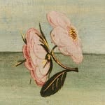miriambrellenthin profile picture