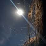 mirina_hadjebar profile picture