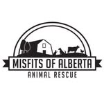 misfitsofalberta.animalrescue profile picture